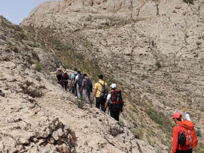 گروه ورزش نیان