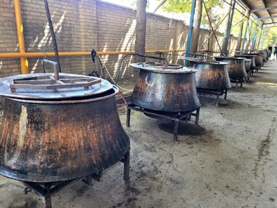 اربعین حسینی