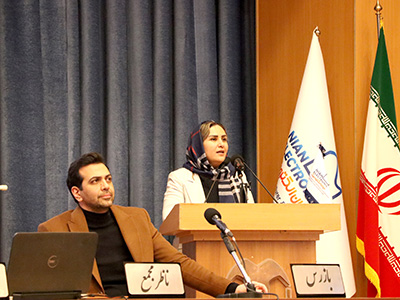 سهام نیان الکترونیک