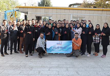نیان الکترونیک