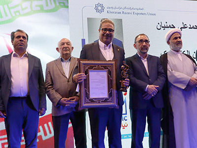 نیان الکترونیک