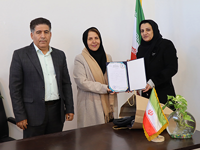 خانم مهندس سیستانی